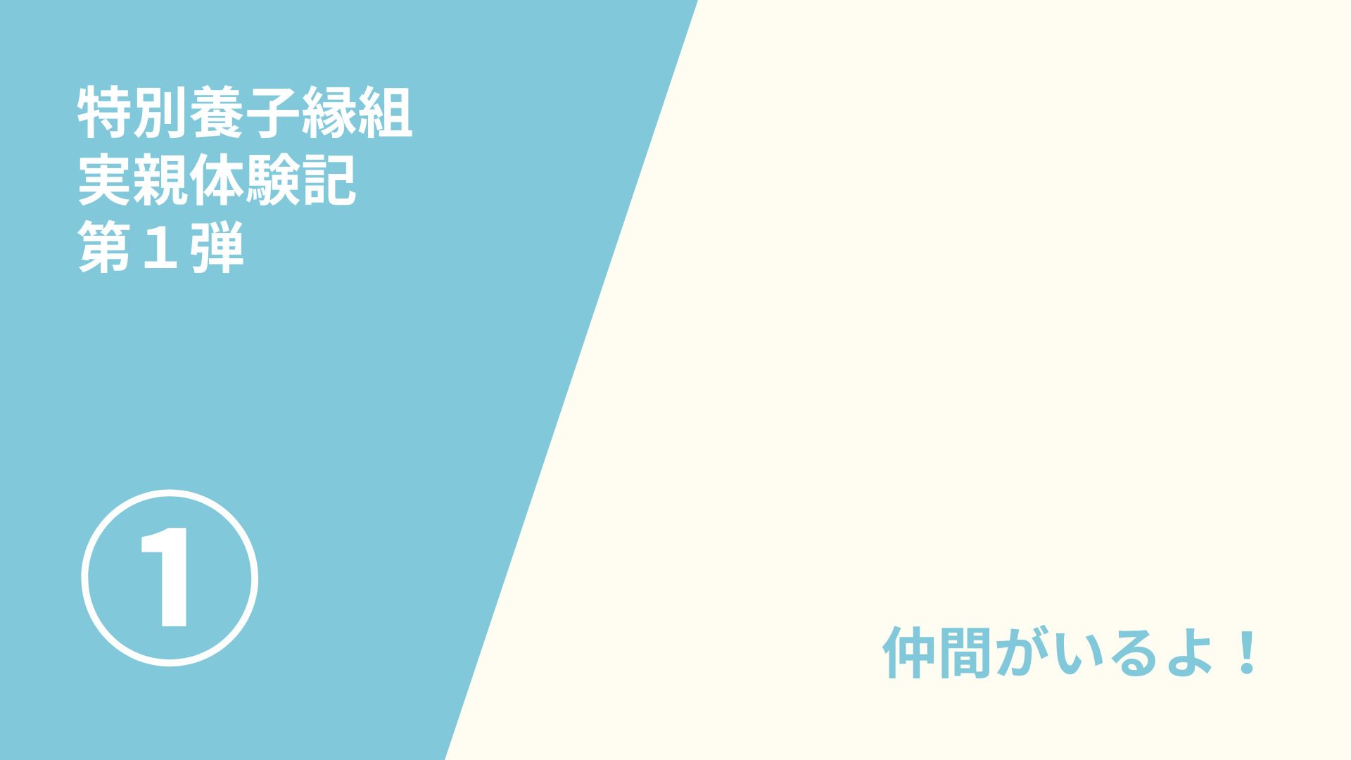 特別養子縁組　実親体験記（１／６）
