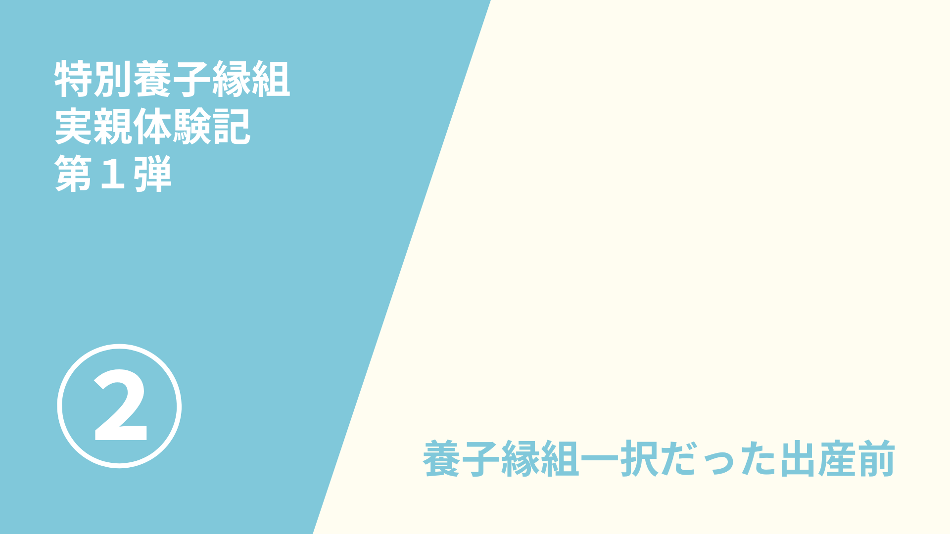 特別養子縁組　実親体験記（２／６）