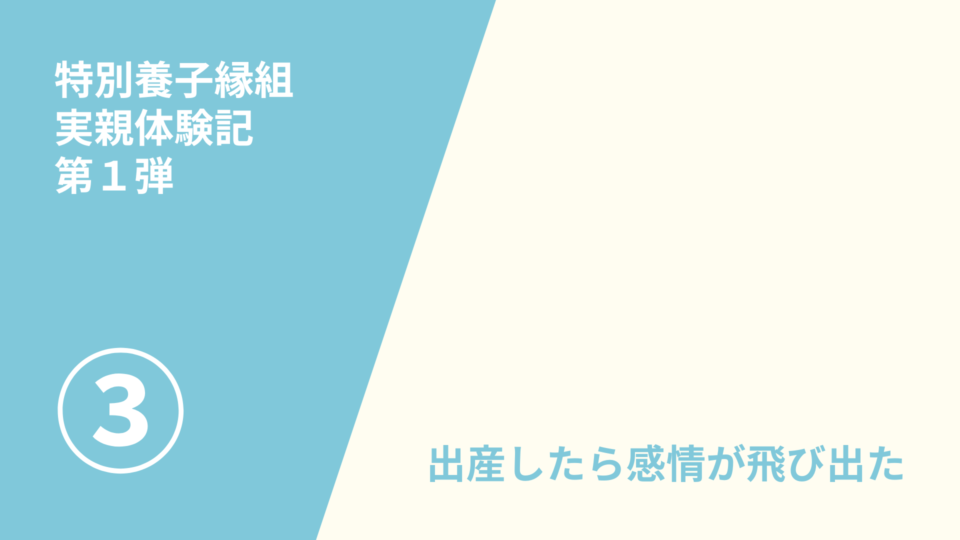 特別養子縁組　実親体験記（３／６）
