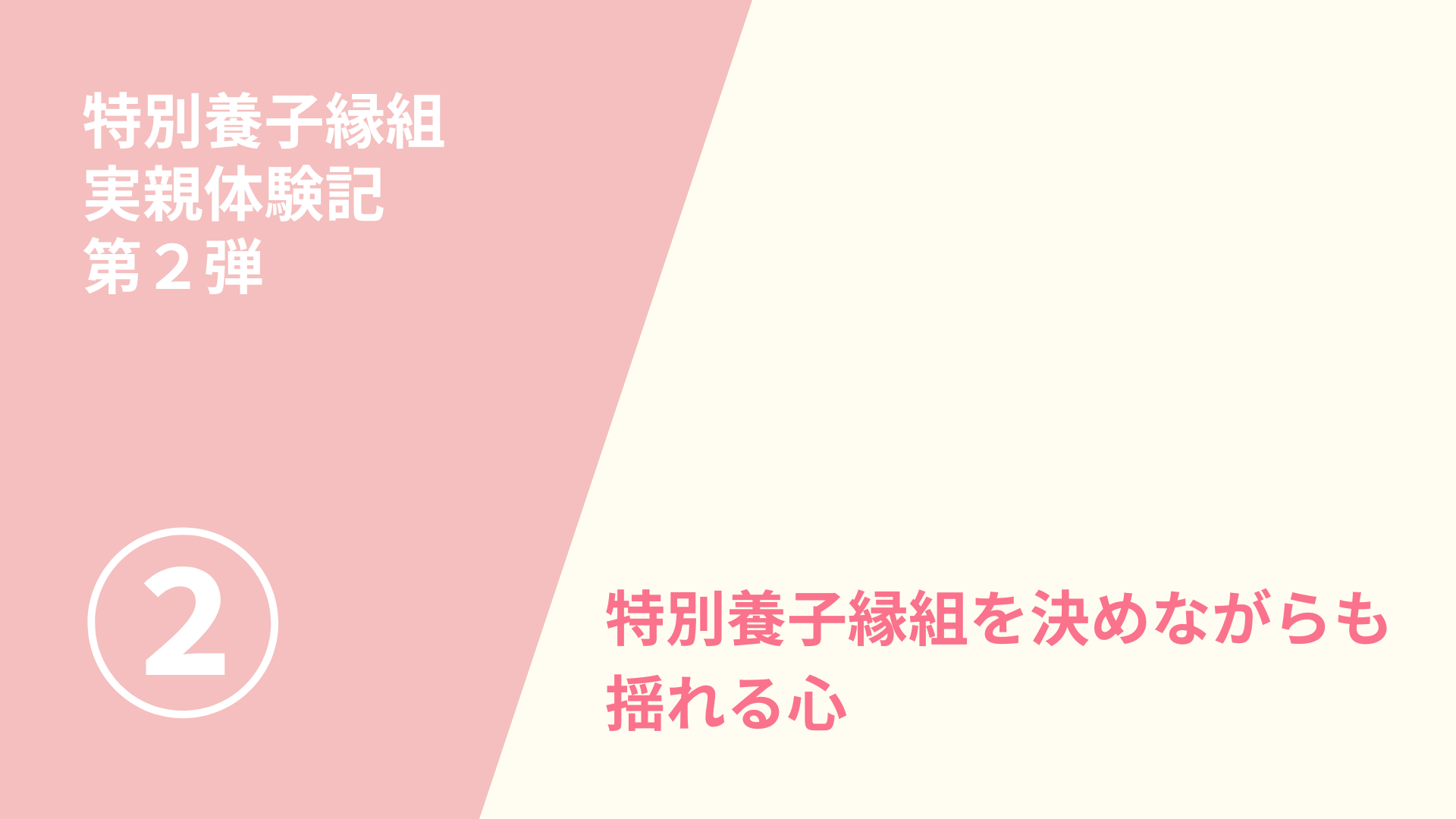 特別養子縁組　実親体験記第２弾（２）