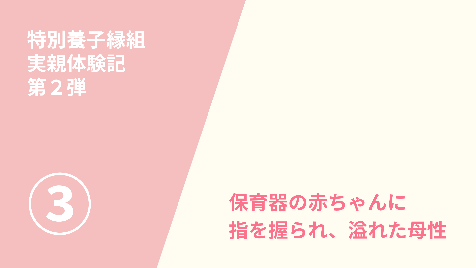 特別養子縁組　実親体験記第２弾（３）