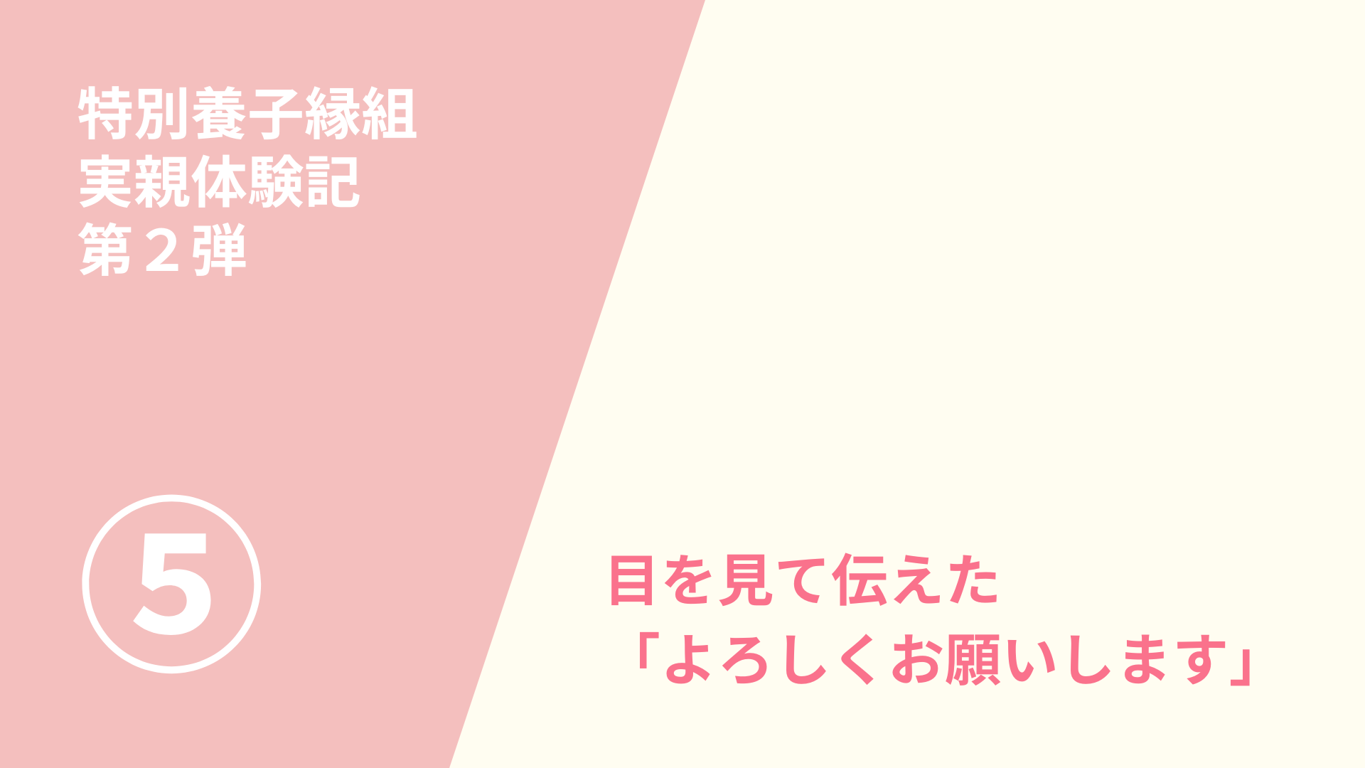 特別養子縁組　実親体験記第２弾（５）