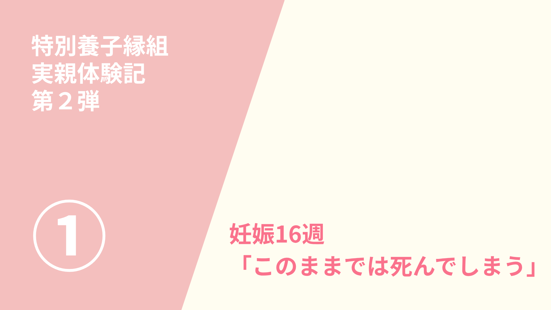 特別養子縁組　実親体験記第２弾（１）