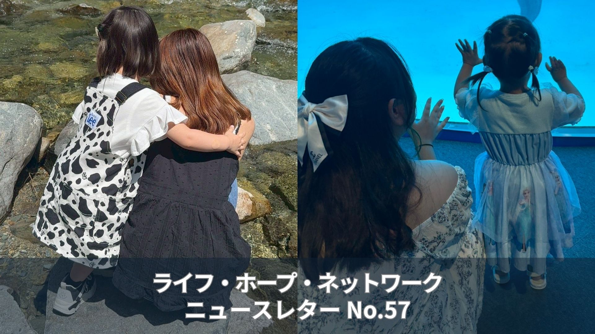 ニュースレターNo. 57 (2026年8月発行)